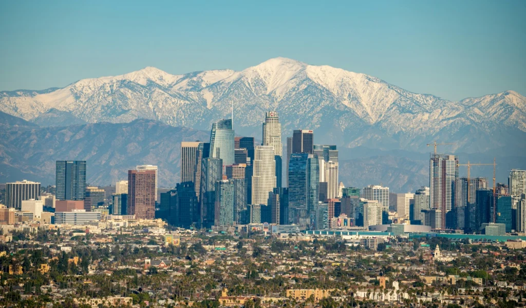 Pareli Los Angeles Realtor
